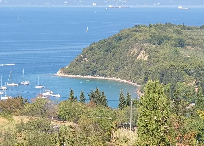 Bella Vista Lilly בפורטורוז