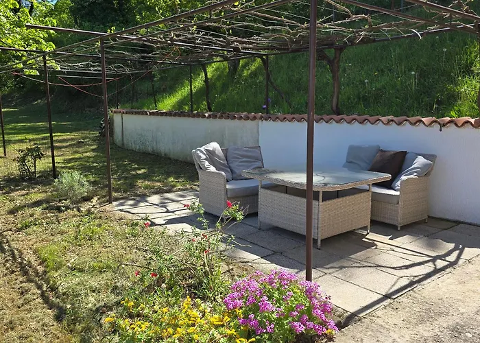 Bella Vista Lilly 波尔托罗