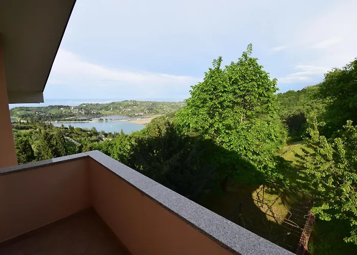 Bella Vista Lilly * בפורטורוז